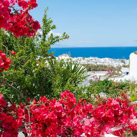 Boutique Di Vito Mykonos Town