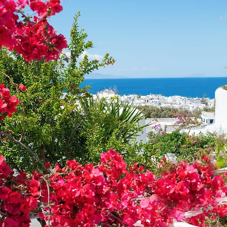 Boutique Di Vito 酒店 Mykonos Town