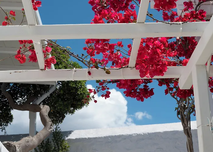 فندق Boutique Di Vito Mykonos Town